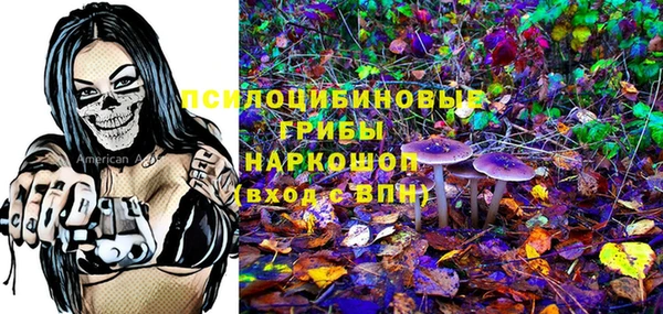 твердый Богородицк