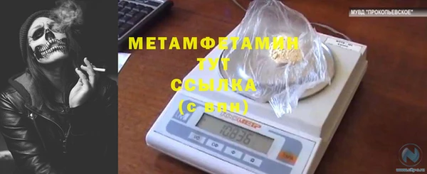 сатива Медногорск