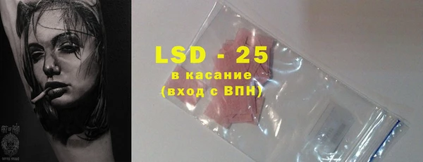 гидра Туринск