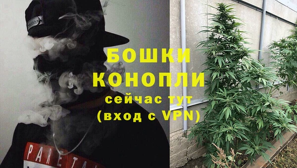 сатива Медногорск