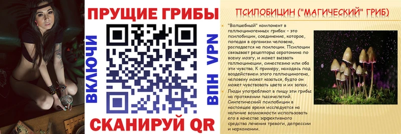 наркотики  ОМГ ОМГ зеркало  Галлюциногенные грибы мухоморы  Талдом 
